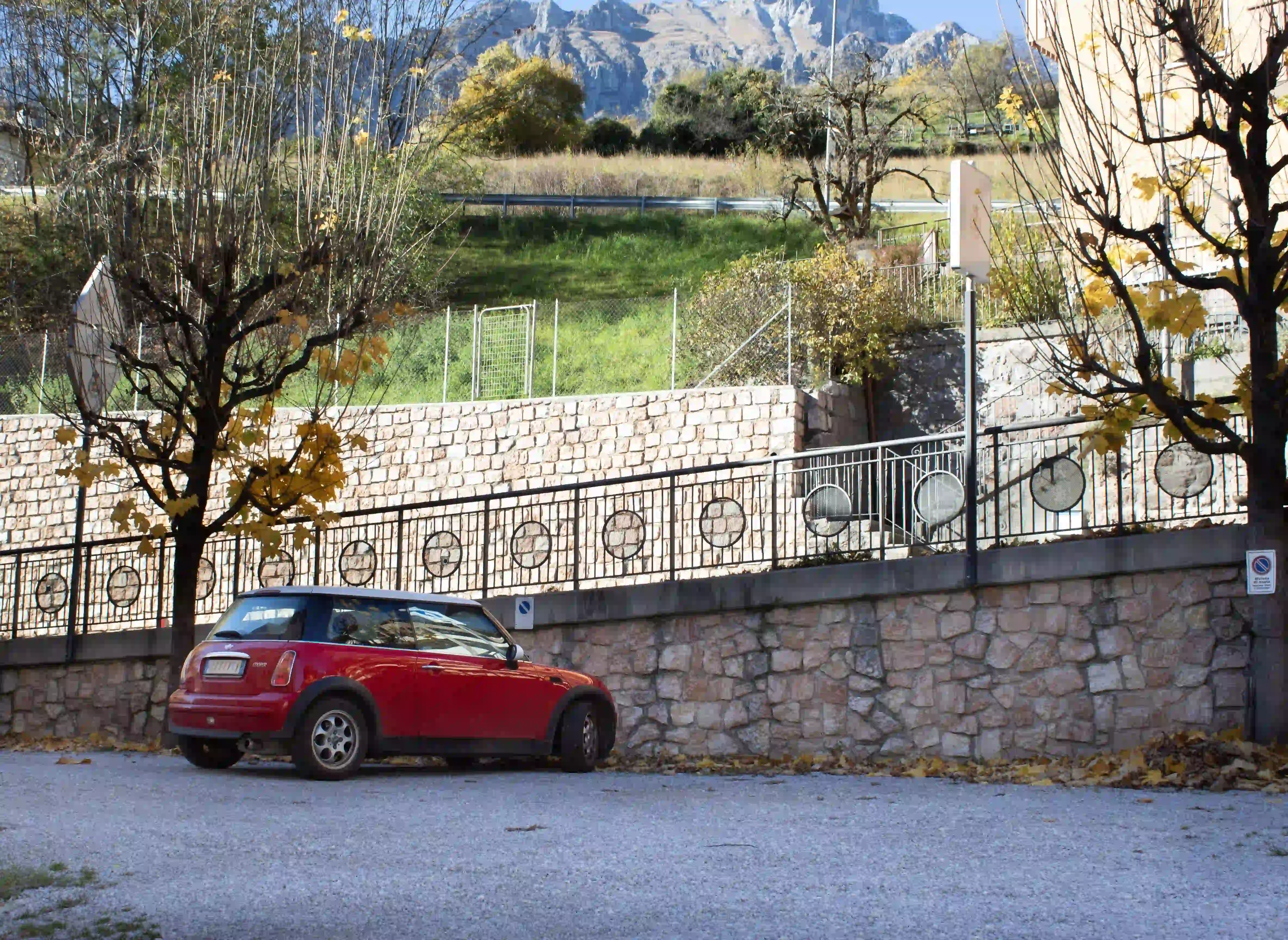 Parcheggio con un albero